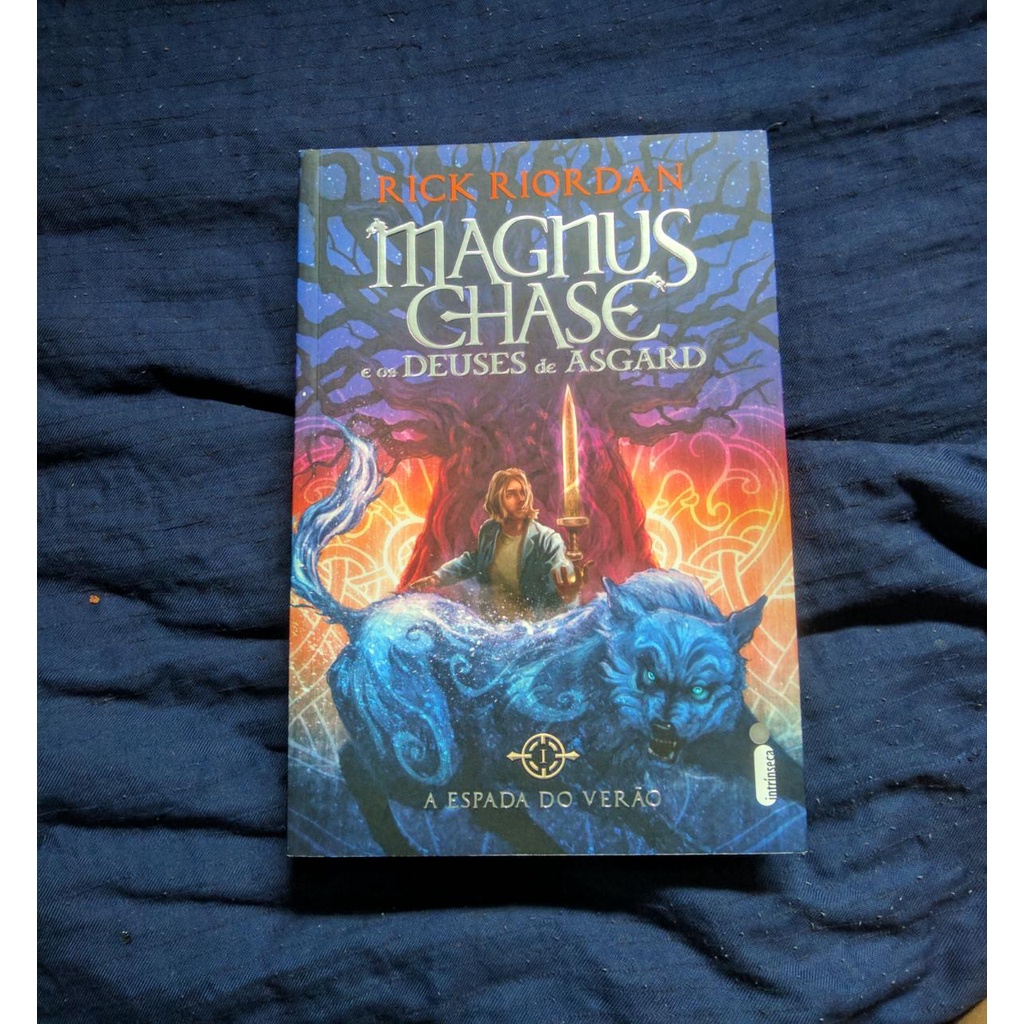 Magnus Chase - Rick Riordan (SEMINOVO) | Shopee Brasil