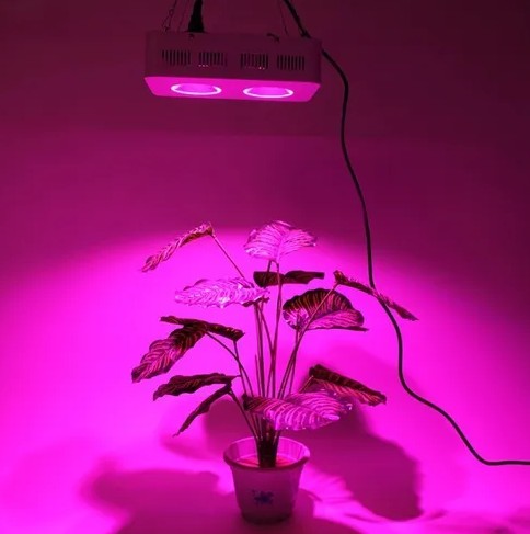 Led Grow Cob 2- 600w - Full Spectrum Cultivo Indoor | Shopee Brasil