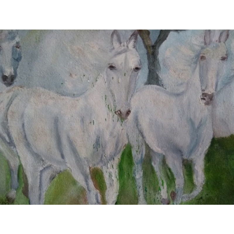 Quadro Cavalos Selvagens