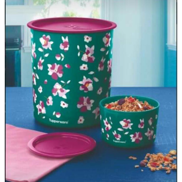 Tupperware Kit Instantânea Floral 4,2l E 575ml | Shopee Brasil
