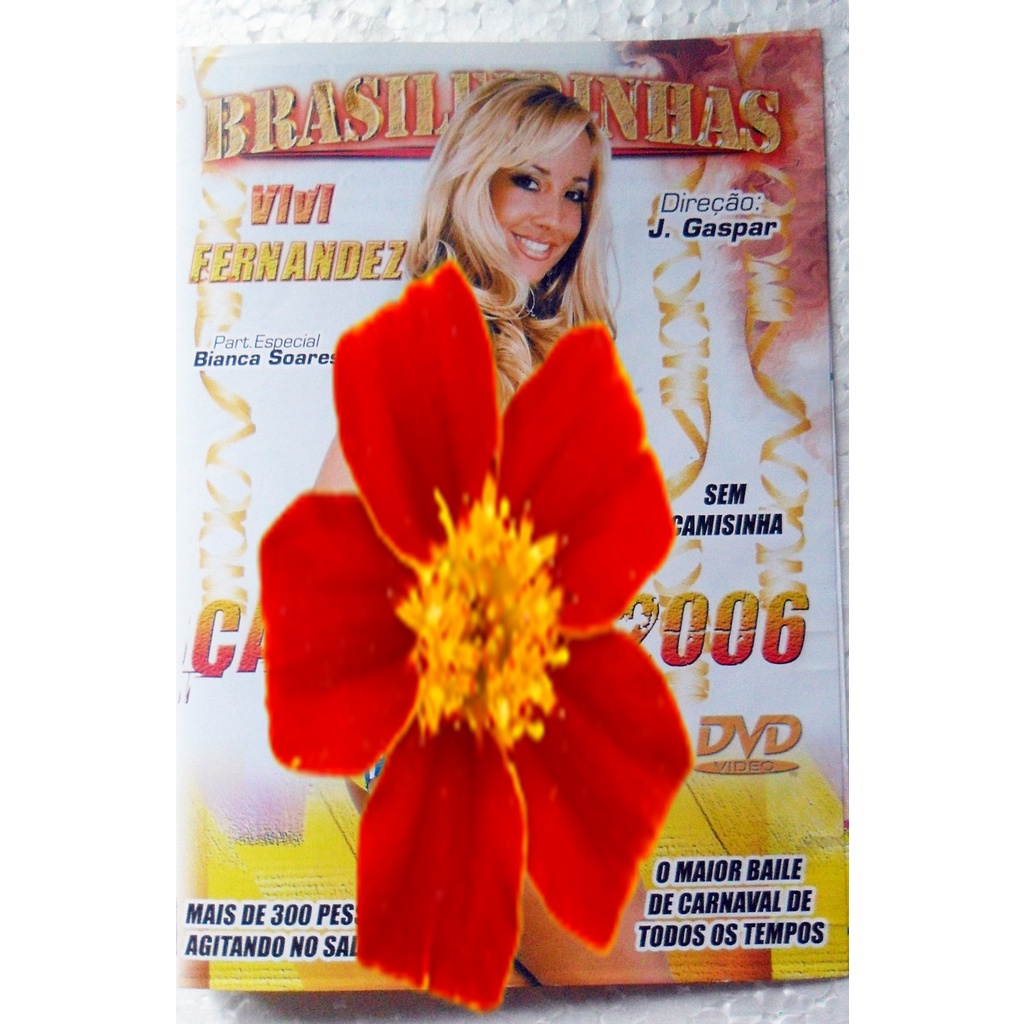 Dvd Carnaval 2006 Brasileirinhas Vivi Fernandes pornobrasileirinhas |  Shopee Brasil