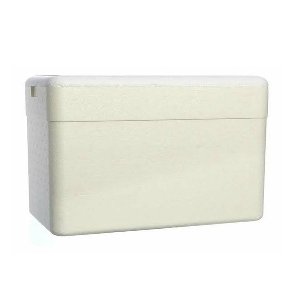 Caixa Térmica Isopor 50 Litros Gelo Cerveja Refrigerante