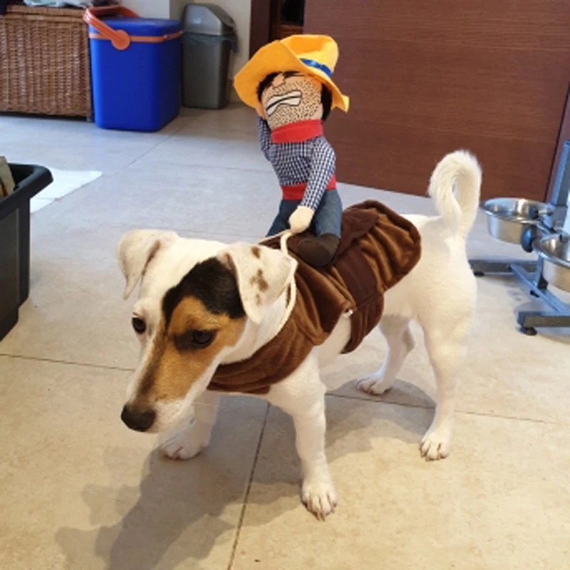 MOLI Roupas de cachorro cowboy knight halloween pet trajes de reforma engraçados