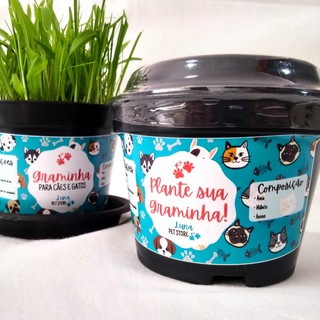 Kit Plante sua Graminha! - Grama Graminha para Pets (Gatos e Cachorros)