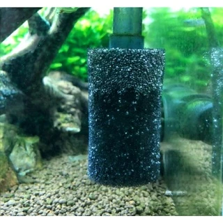 Esponja Protetora Pré Filtro Para Hang on Filtro Externo ou Canister, Protege Alevinos, Camarões e Pequenos Peixes.