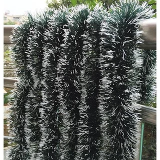 8M Pluma Natalina Enfeite Festa Festão Nevada