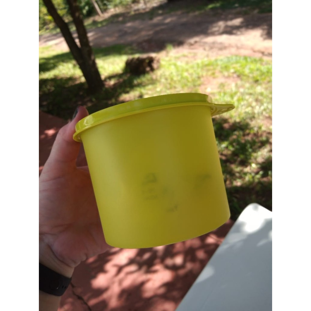Tupperware redondinha 500ml neon | Shopee Brasil