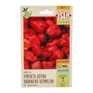 Sementes De Pimenta Boyra Habanero Sem Agrotóxicos - Isla