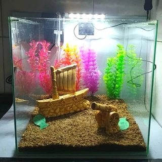 Aquário Completo 27 Litros Cubo de 30cm Acompanha Filtro Luminária Substrato Plantas e Enfeites