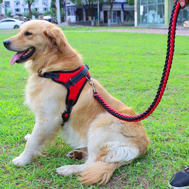 Dog rope golden retriever chest strap medium traction rope dog rope small and large dog pull dog rope dog chain dog rope