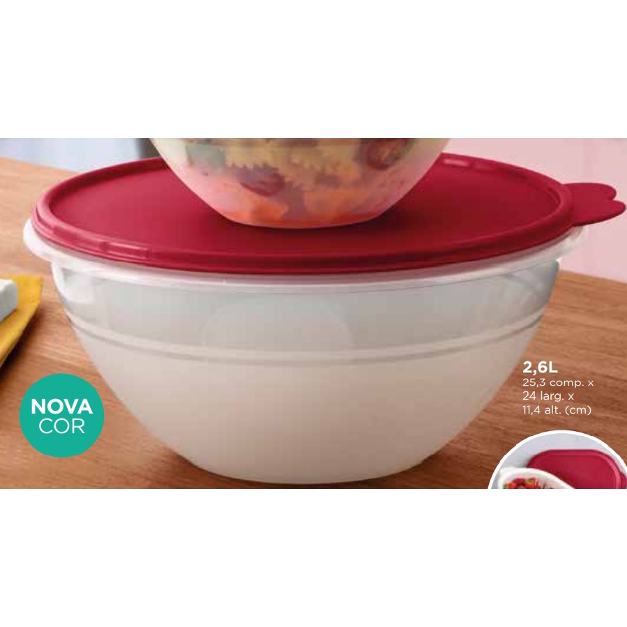 Kit Tigelas Maravilhosas Tupperware 3 peças - 500ml+750ml+2,6L | Shopee  Brasil