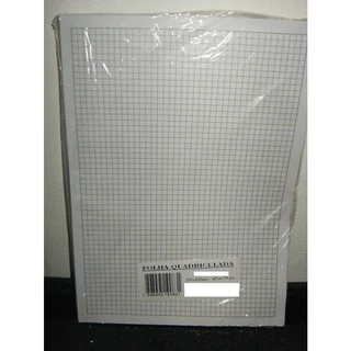 Papel Almaço Quadriculado 0,5 x 0,5 c/ 30 folhas