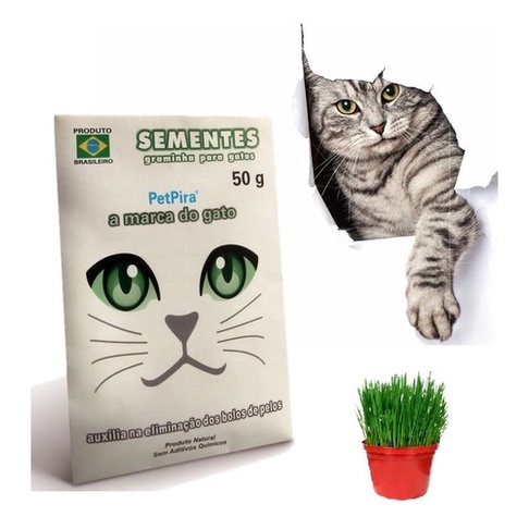 Graminha para Pets Milho de Pipoca 60 g