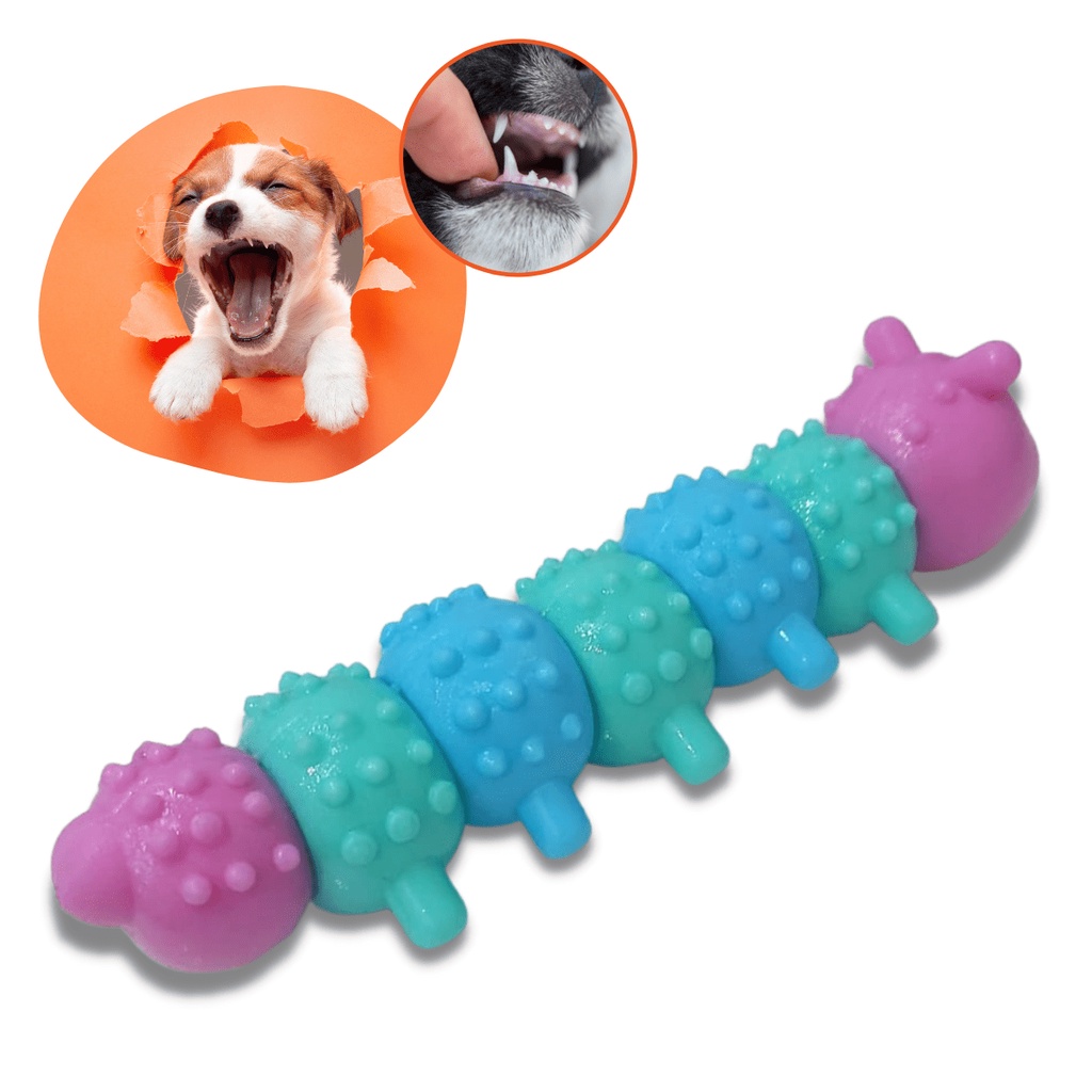 Brinquedo Cachorro Mordedor Para Cão Filhote formato Centopeia Coça ...