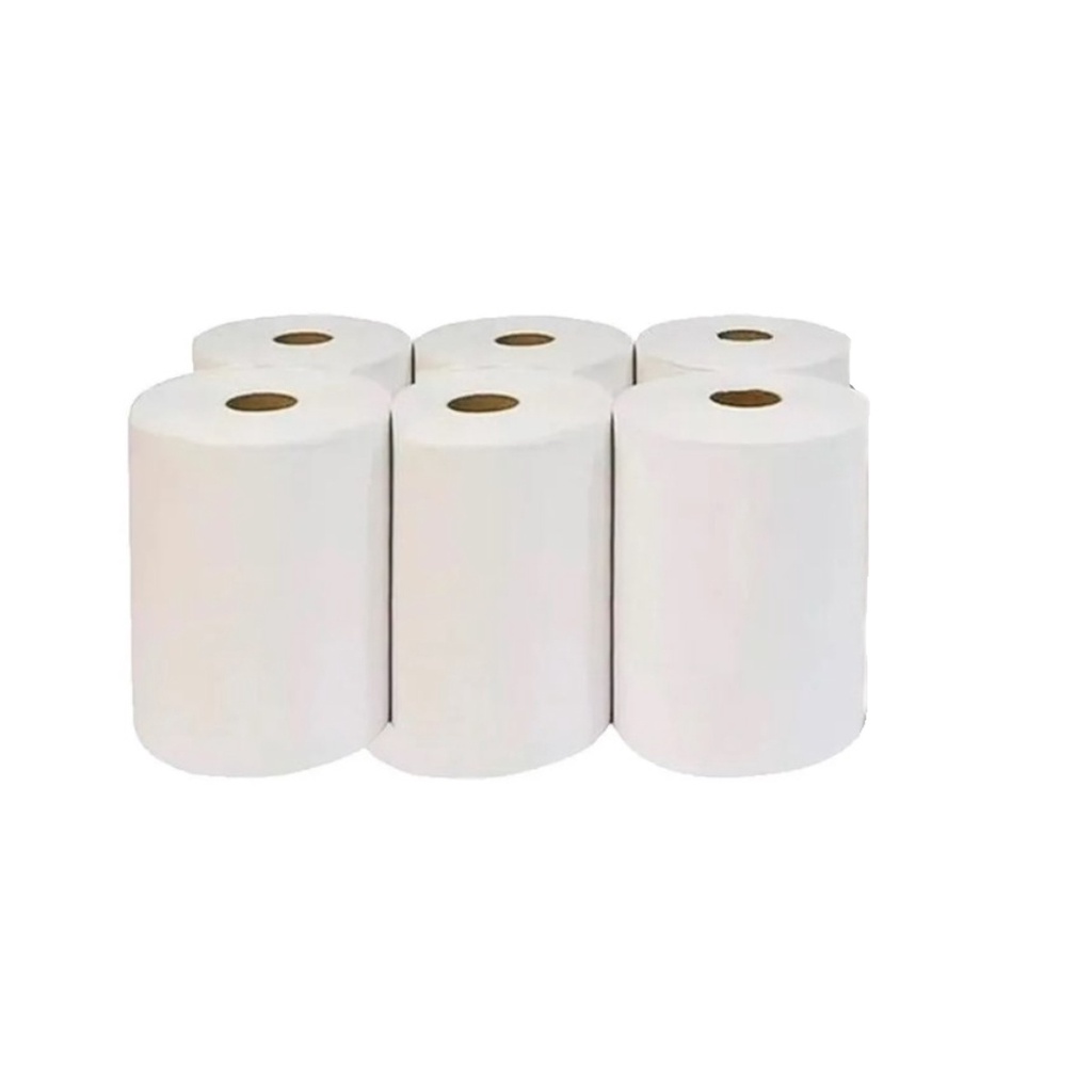 Papel Toalha Bobina 6 Rolos De 20cm X 200m Branca