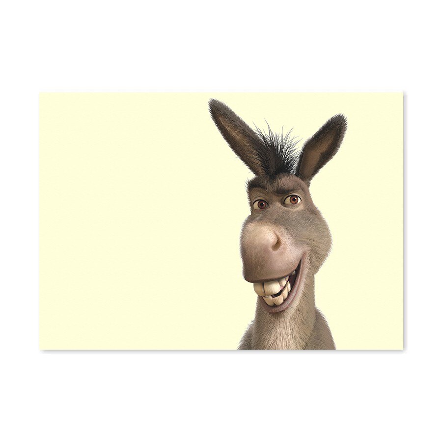 Burro do shrek Conservador