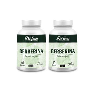 Berberina Vegetal (Berberis Vulgaris) 120 Cápsulas Para Regular os Níveis Glicêmicos 500mg