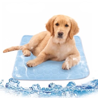 Tapete Almofada Refrescante HidroGel 40x50cm MeuPet