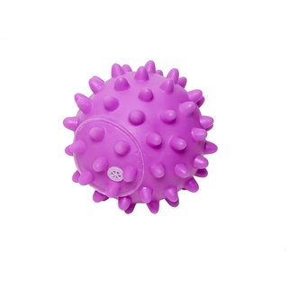 Brinquedo P/ Cães Bola Espinho Vinil Roxo 8,5cm