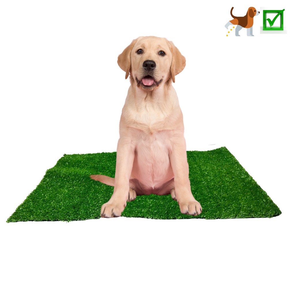 Tapete Higiênico Cachorro Urinar Refil Xixi Grama Lavável