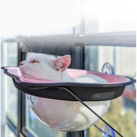 Qican Poleiro para janela de gato Rede para janela de gato Prateleira de  descanso para gatos 360 ° Assento ensolarado para gatos Ventosas montadas  extra grande economizando espaço : : Pet Shop
