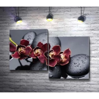Quadros Decorativos orquídeas cor vinho pedras Decoração De Quarto e Sala orquídeas pedras Kit 2p