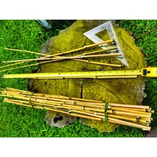 Kit.10 Bambu Natural fino 60cm. comprimento x 0.5a1.5 mm. diâmetro