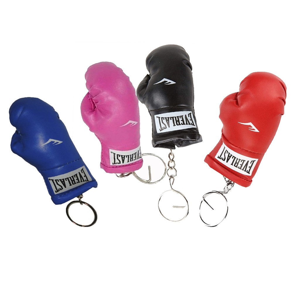Everlast Muay Thai: Onde Comprar | BuscaProdutos