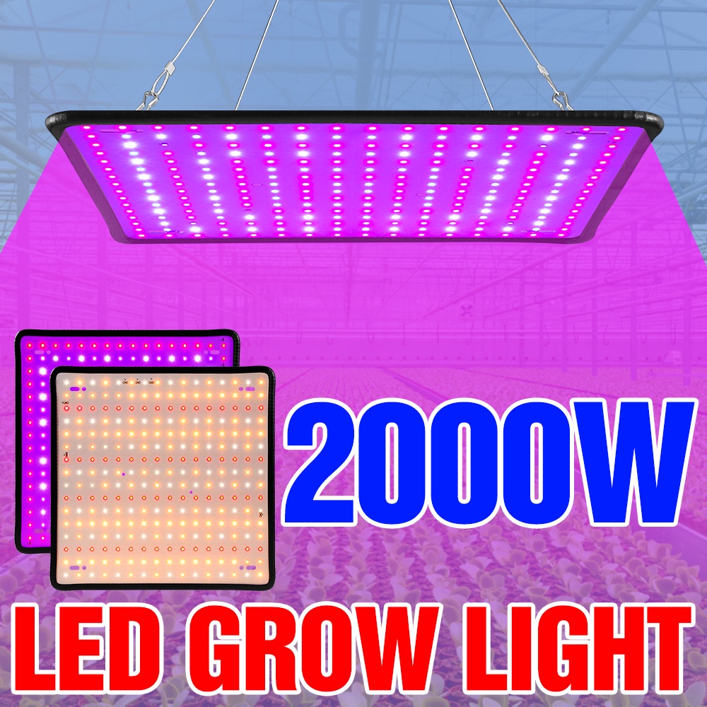 1000W Crescer Luz Led Espectro Completo Lâmpada 1500W 2000 P