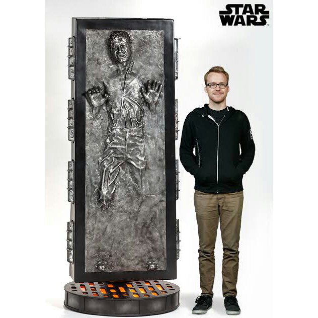 You Can Now Get a Wrap That Turns Your Fridge Or Door Into Han Solo Stuck  In Carbonite