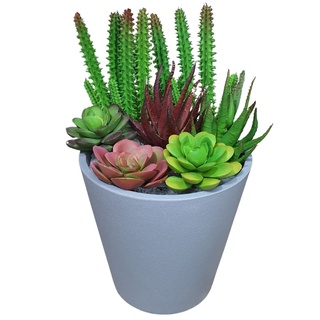 Kit Arranjo de Cacto e Suculenta com Vaso Cimento Decorativo