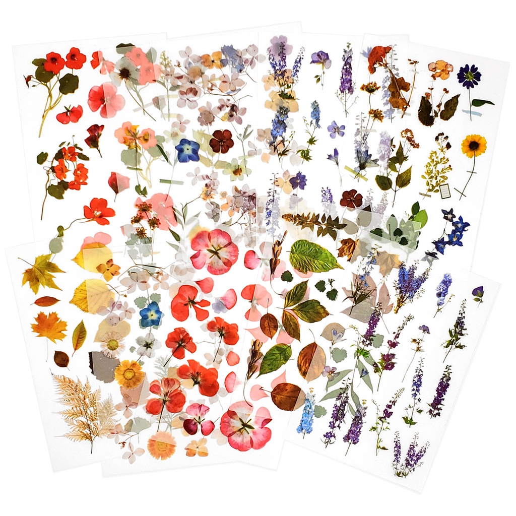 Mayplous 10 Folhas Rub On Transfer Sticker Livro de Rascunho Sticker ...