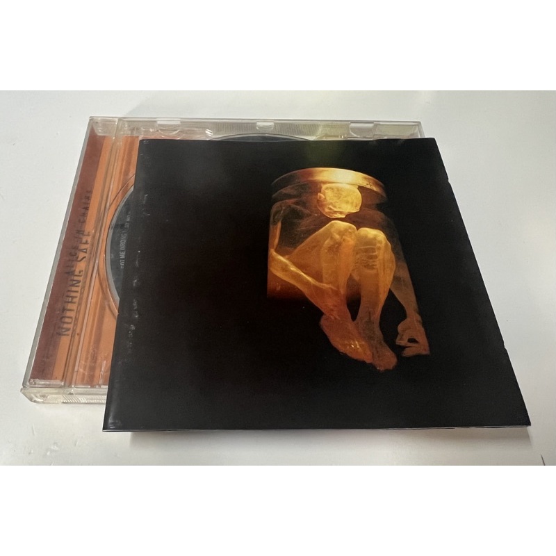 Cd Alice In Chains - Nothing safe | Shopee Brasil