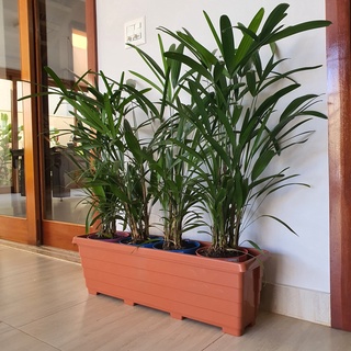 Vaso Jardineira para Plantas Floreira de Plástico de Jardim