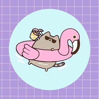 Pusheen flamingo hot sale