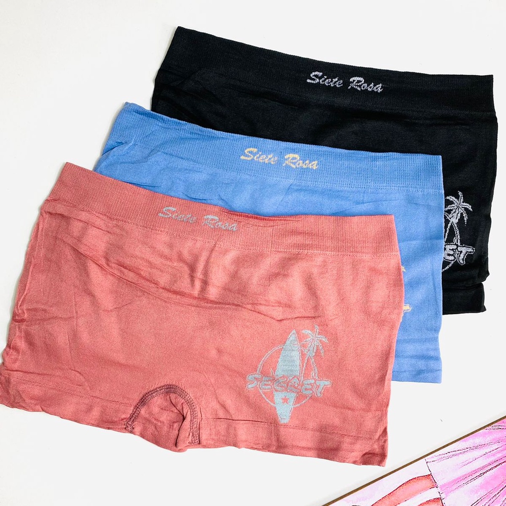 kit 3 pecas/cueca feminina microfibra/tamanho plus g/gg/Cor sujeita à disponibilidade