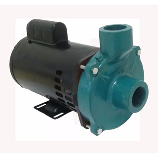 Motobomba Standart Mono 1/2 Hp 110/220V ECS50 MP Eletroplas