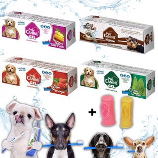 Creme dental para cachorros + 2 Escova De Dente Dedeira Pet Para Cães Kit Promoção