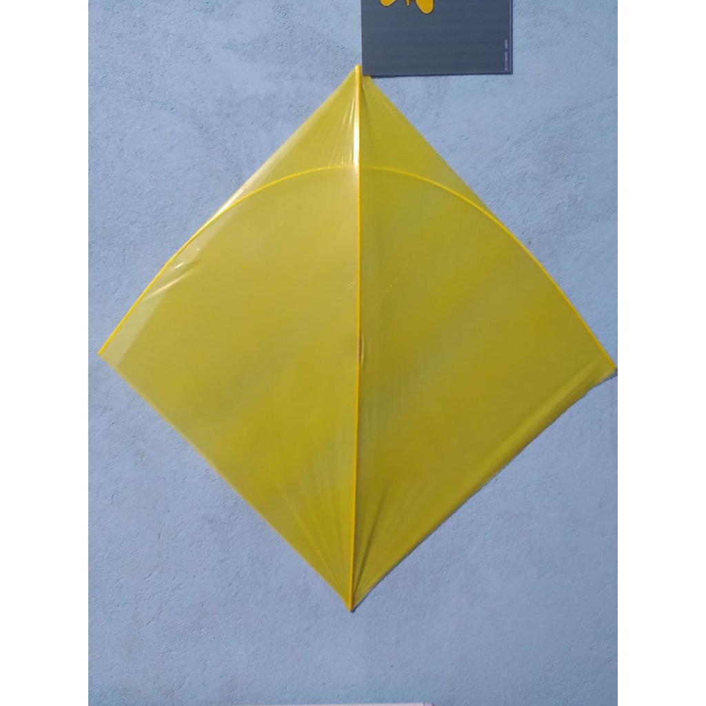 Pipa Raia Flechinha 35x35 Lisas 30 Unidades | Shopee Brasil