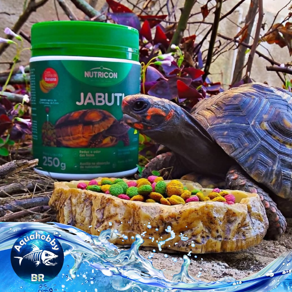 Ração para Jabuti 315g - Nutricon Alimento Completo para seu Pet ...