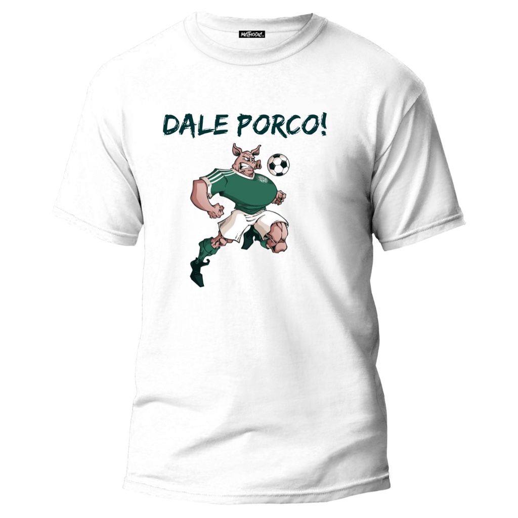 t-shirt camiseta palmeiras ♡ (png) em 2023  Camisetas do palmeiras, Camisa  da frança, Camiseta