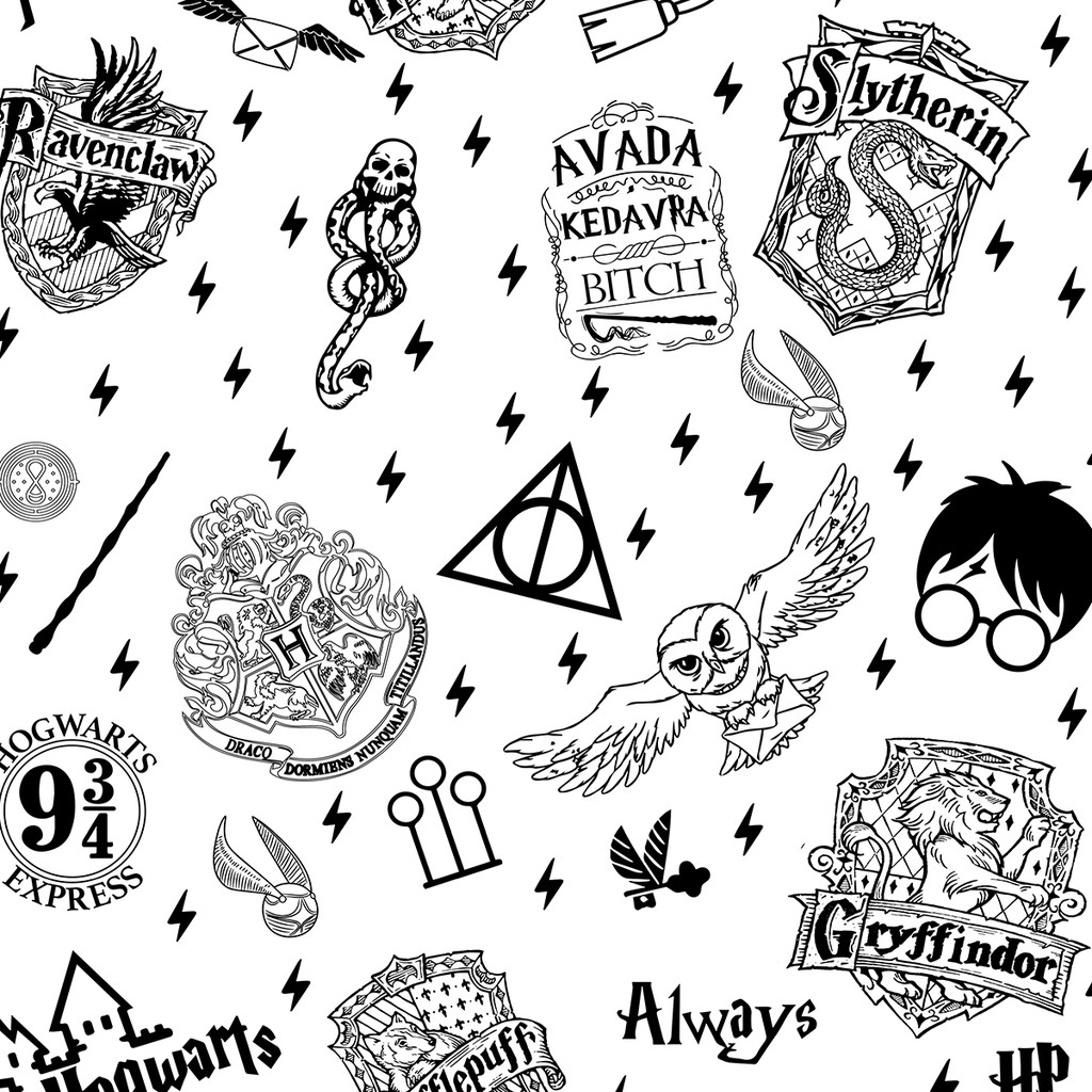 Papel De Parede Adesivo Teens Geek Harry Potter Hogwarts Mag Shopee Brasil