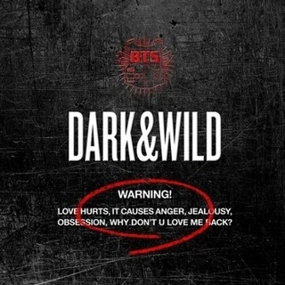 BTS-[DARK & WILD] 1st Album