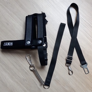 Combo coleira peitoral personalizada e guia mais cinto segurança para cachorro transporte carro proteção passeio adestramento lazer pet pequeno medio e grande porte Menor preço