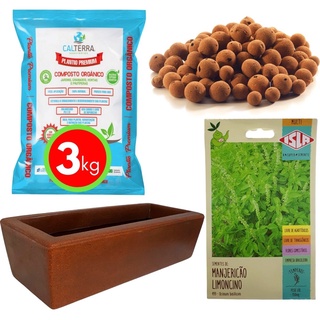 Kit Horta Plantio Fácil de Manjericão e Jardineira Chocolate