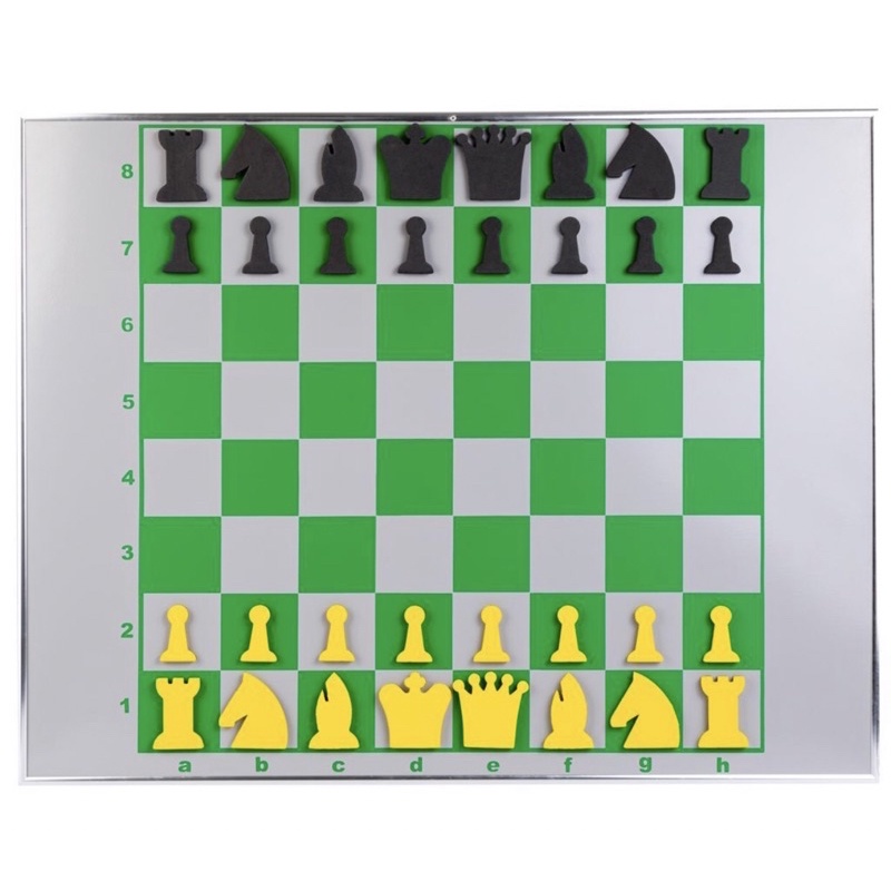 Mural Magnético Jogo de Xadrez Quadro Didático Ímã Peças em Eva Ideal para  O Ensino do Xadrez, Jogo de Tabuleiro Nunca Usado 66197483