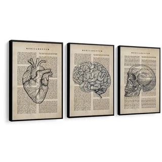 Quadro Medicina 3 peças-20x30 show-dos-quadros