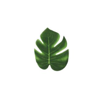 Amosfun 20 Pçs 5 Simulação De Festa Planta Escura Selva De Tartaruga  Tropical Para Folhas Monstera Falso Tema De Palma Decorações Luau Planta  Folha Plantas Escritório Casa Havaí