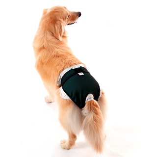 Protetor Higiênico P/ Fralda E Cio Cão Reutilizável N° 5 - Verde