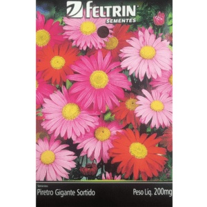 Sementes de Flor Piretro Gigante Sortido - Feltrin | Shopee Brasil